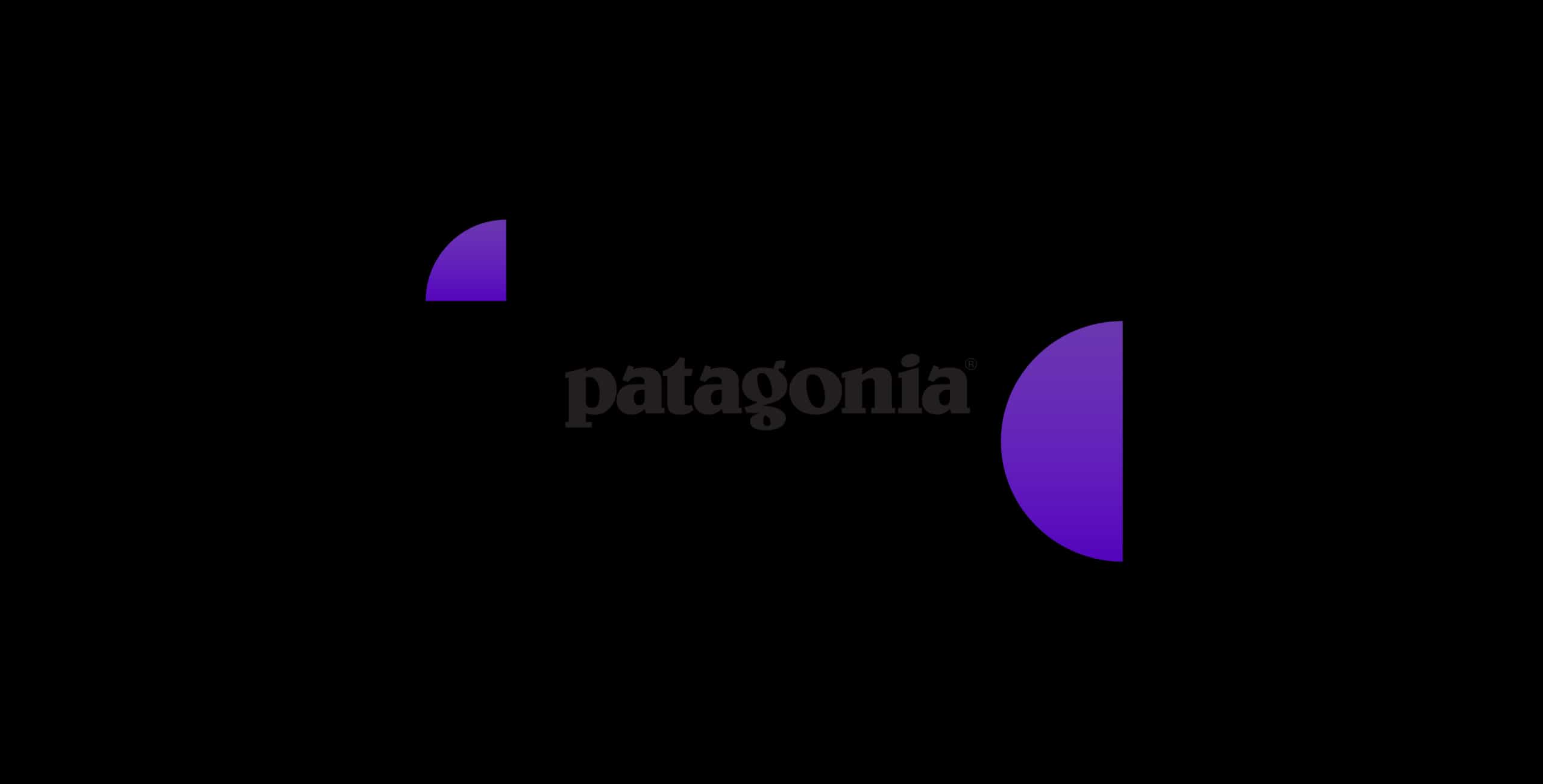 Patagonia Logo Winner