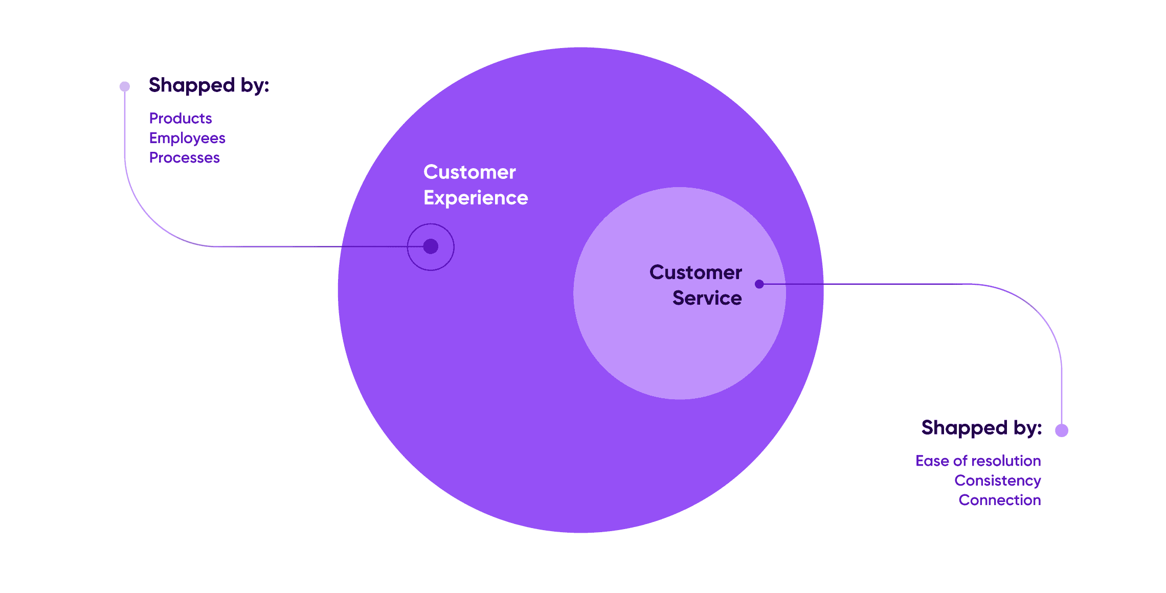Customer Experience Vs Customer Service Graphic
