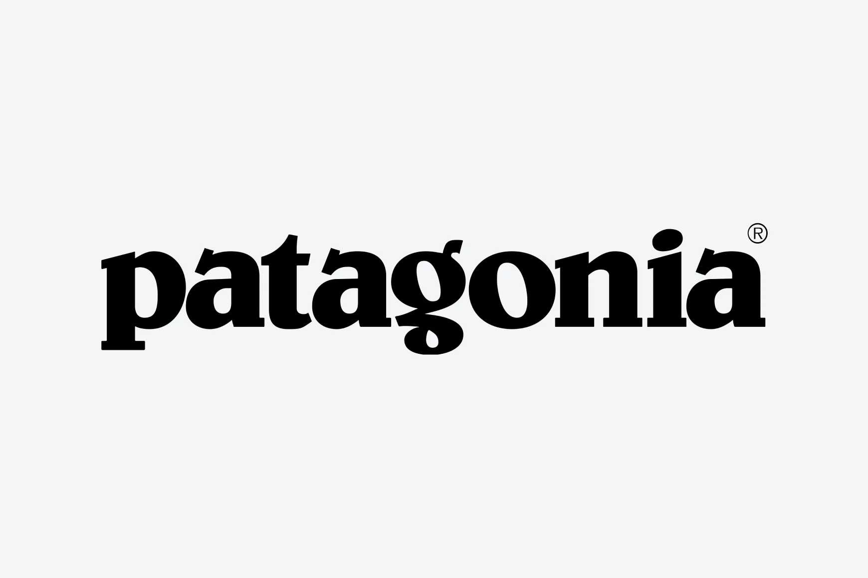Patagonia Logo Grey