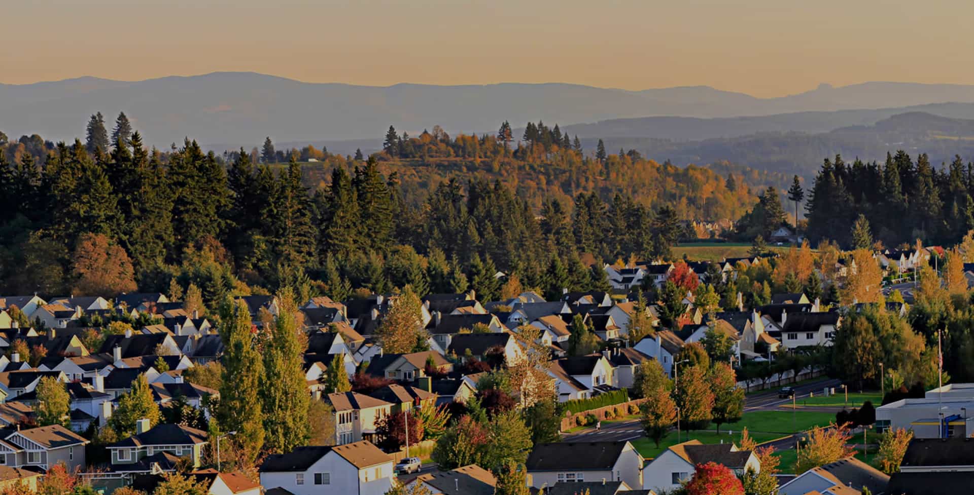 Customer Story Ninefold