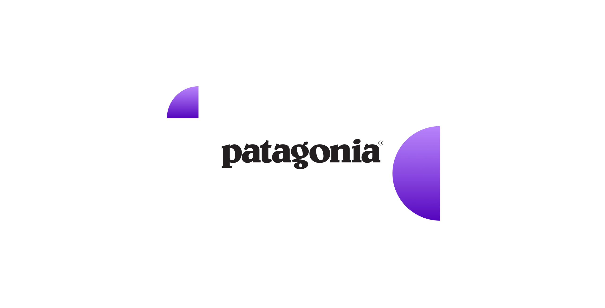 Patagonia Logo Winner
